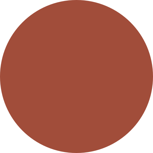 ColourSwatch_Burnt sienna
